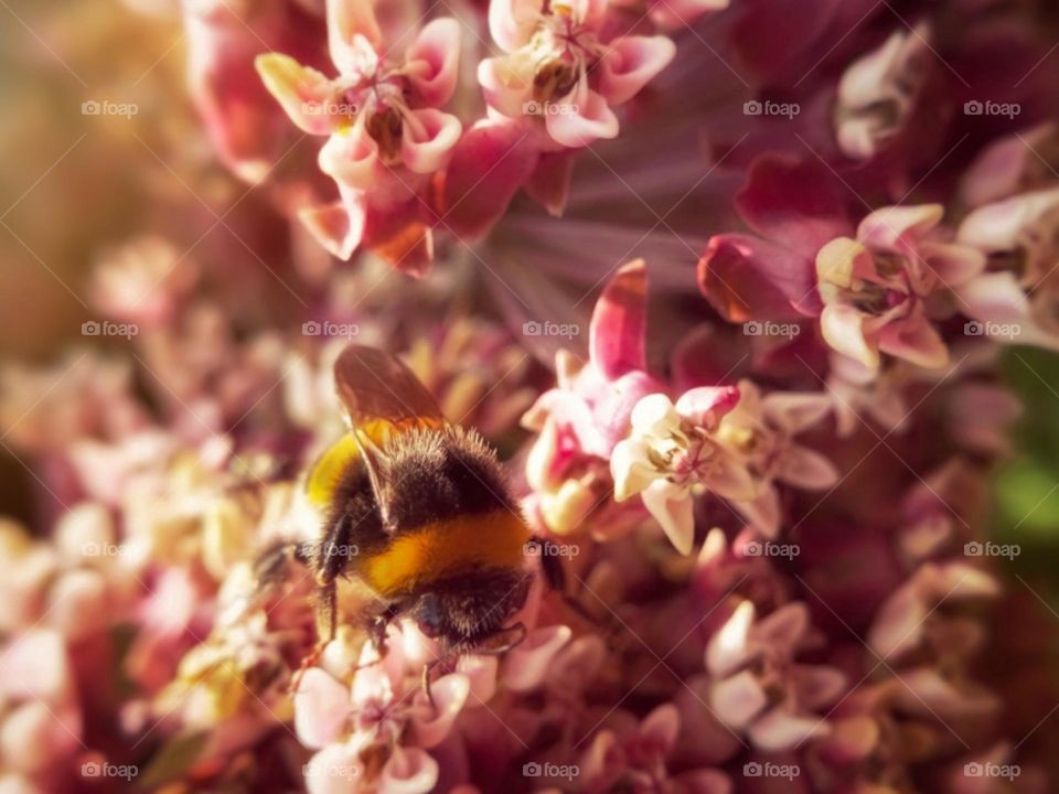 Little corner of mother nature