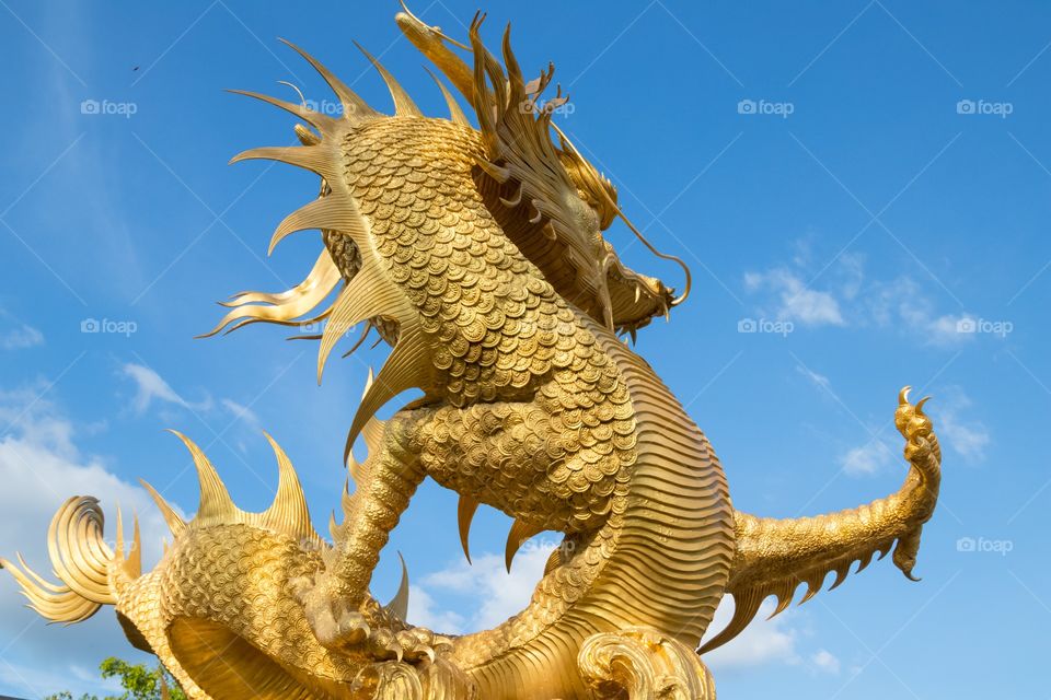 Behind the Chinese Golden Dragon 