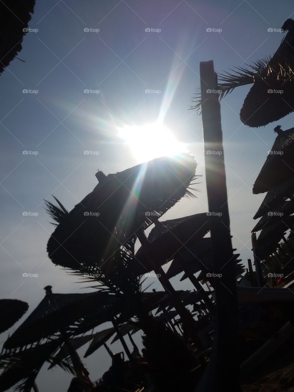 Sun rays on the sandy beach