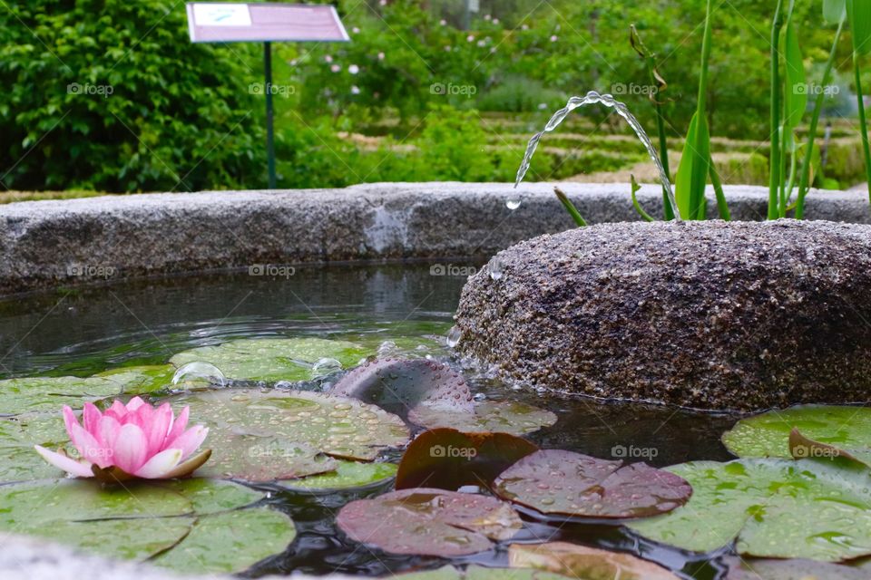 Serenity is close by, waiting