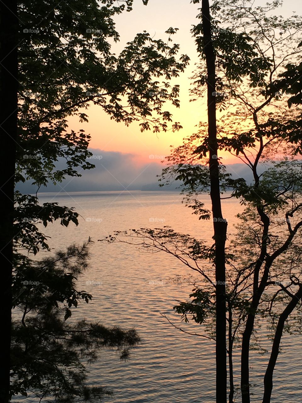 Misty Waters - camping - Tennessee