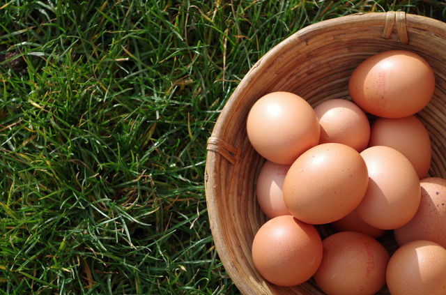 Brown eggs in basket on grass