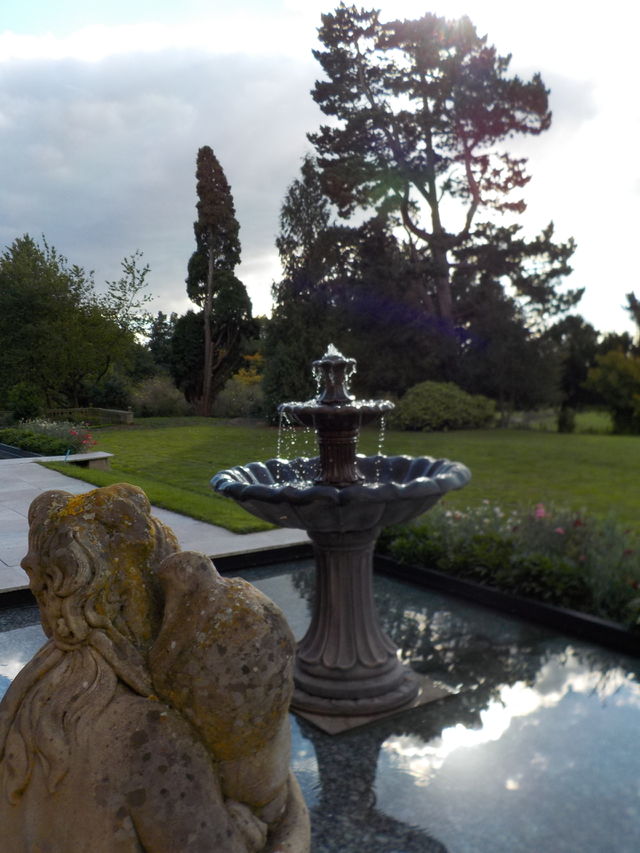 Water crown 