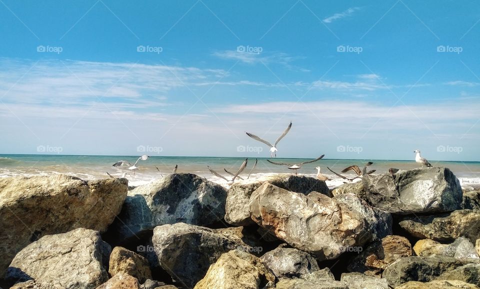 Sea, Water, Seashore, Ocean, Sky