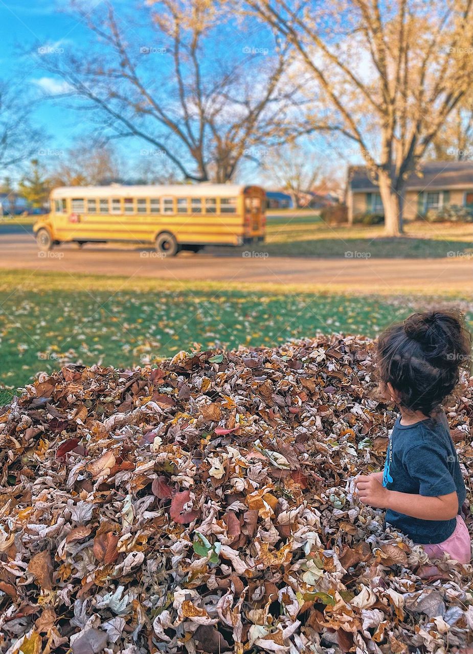 Little girl jumps in pile of leaves, helping mommy with leaves, toddler gets distracted by school bus, toddler in a pile of leaves, raking leaves in the fall, MidWest in the fall time, toddler in a pile of leaves 