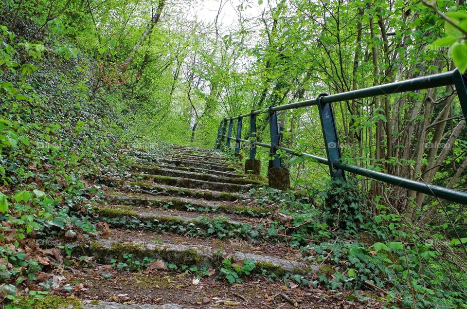 Stairs in the forrest. Awesome old stairs in one of Geneva's many parks.