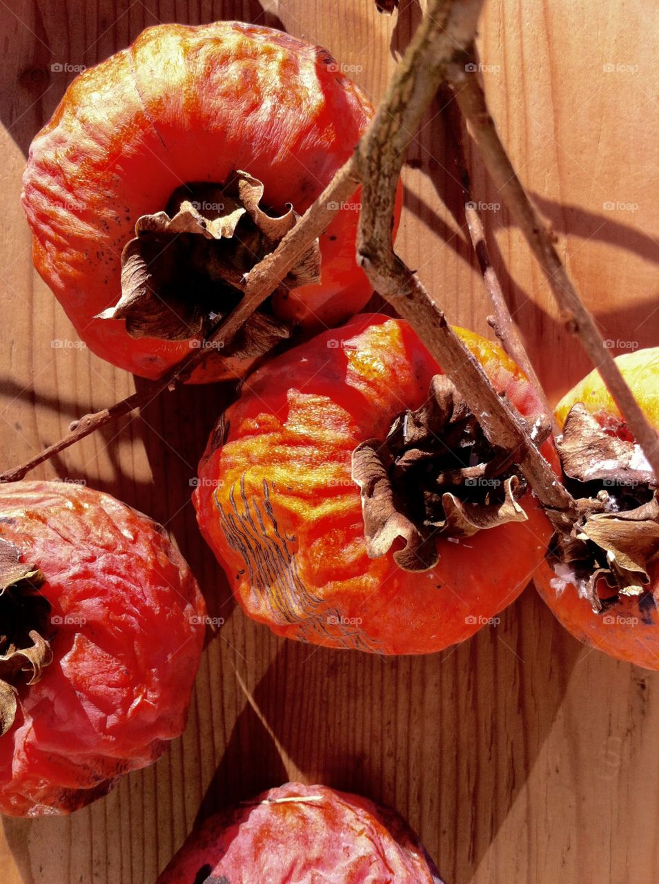 composition of persimmon, typical fruits of autumn