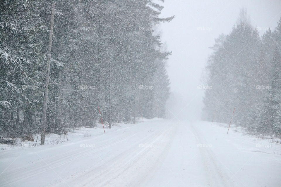 Winter road