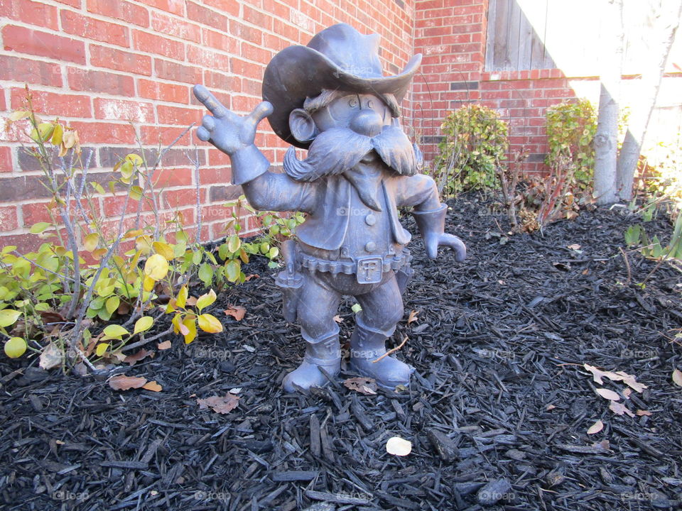 Texas Tech red Raiders