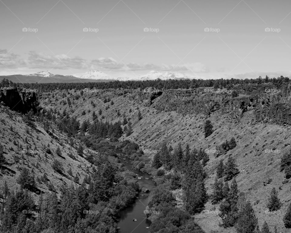 The Deschutes River flows through a canyon with river banks covered in bushes and trees on a sunny day in Central Oregon. 