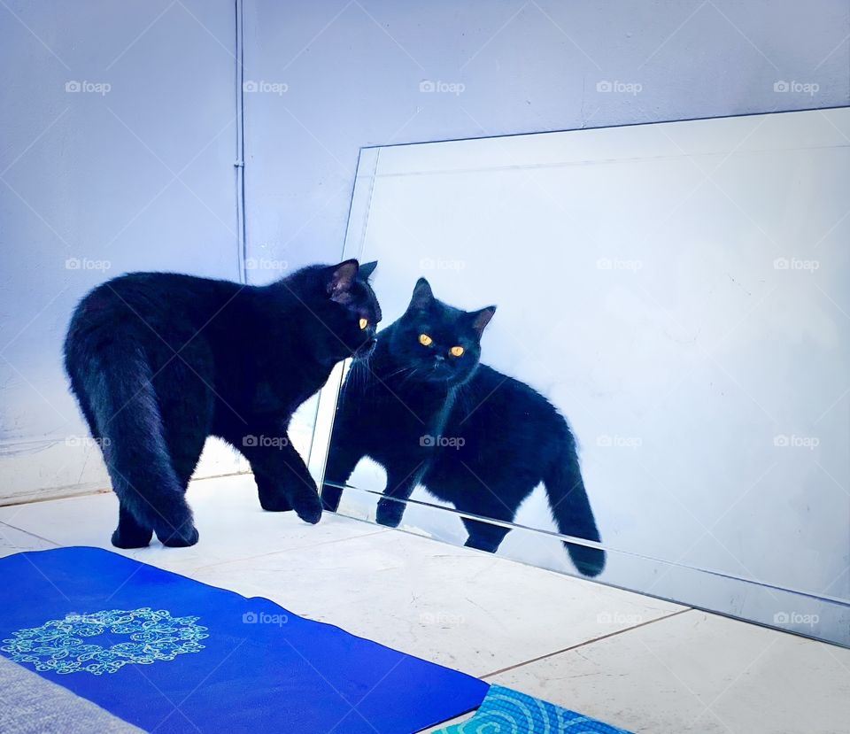 mirror, mirror on the wall