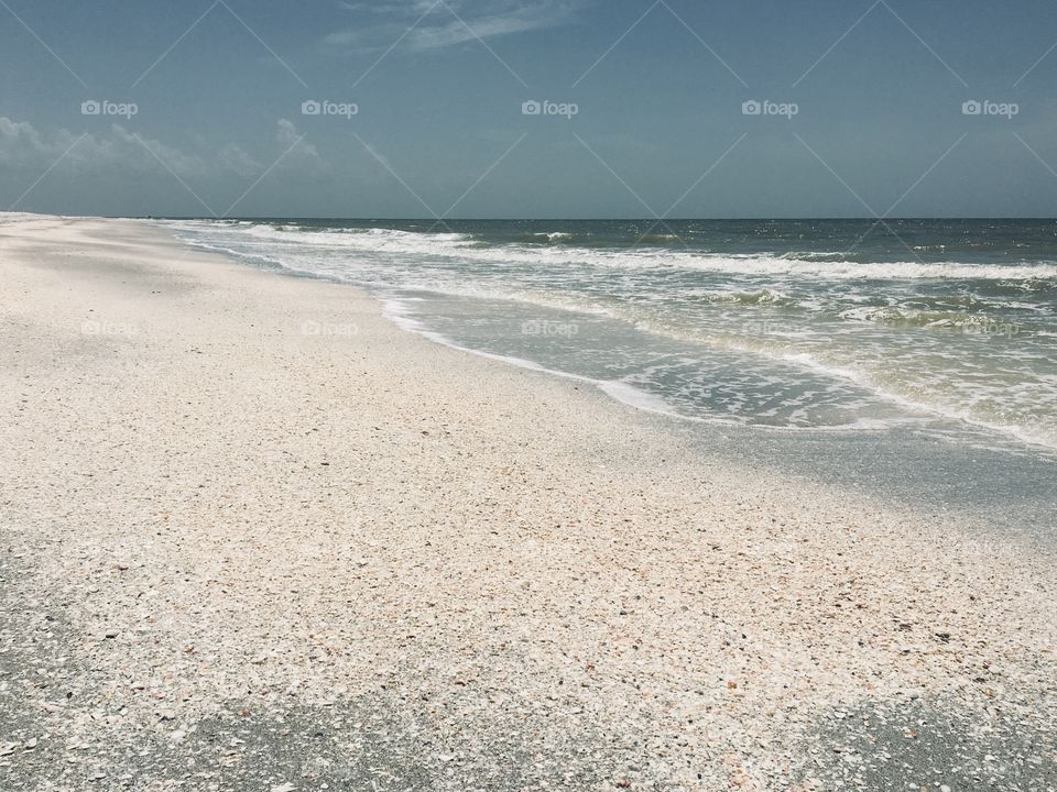 I’ve Gone to Shell