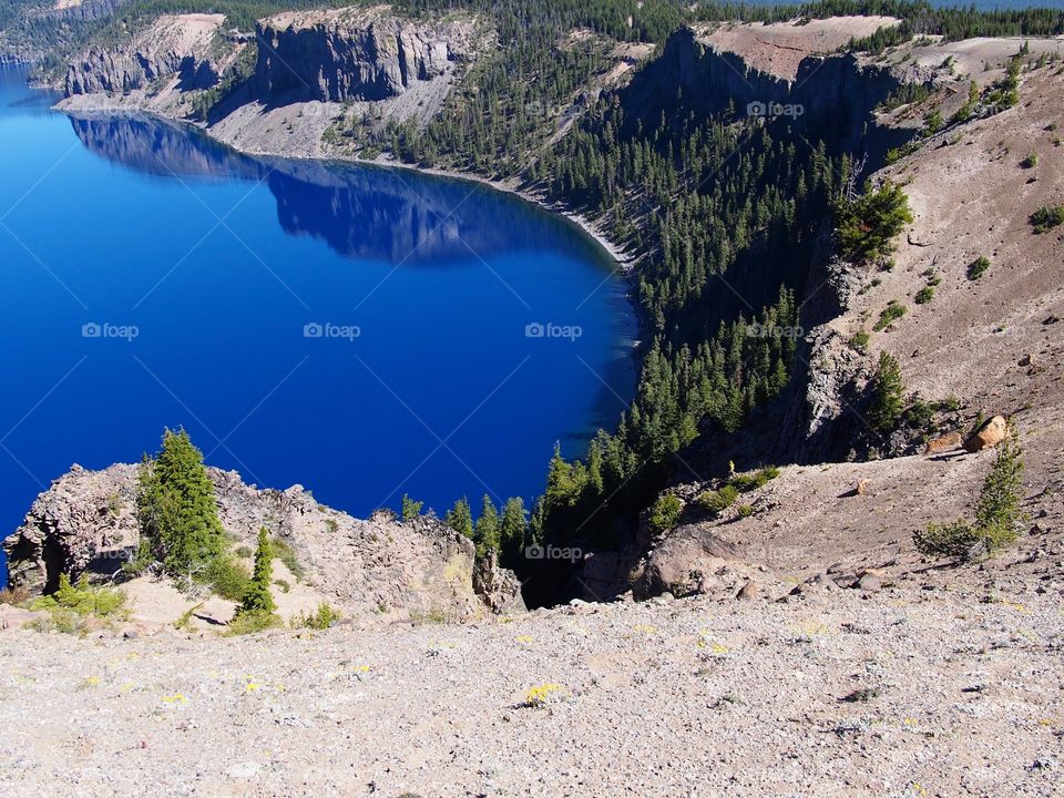 The rich blue waters of the deep Crater Lake in Southern Oregon with fir trees on the jagged rim on a beautiful sunny summer morning with clear blue skies.