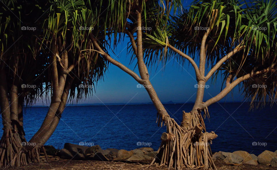 evening view of the ocean in Redcliffe