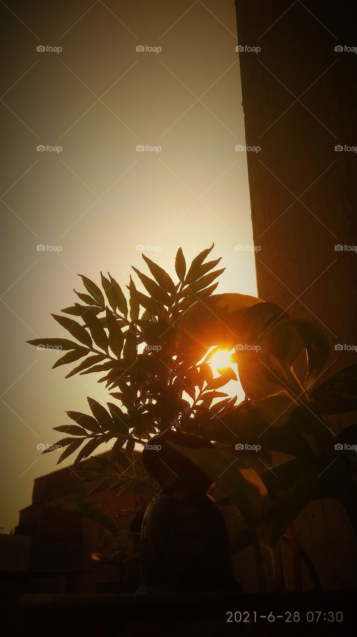 #foap #infoapartemen #foapjuly18 #foapaug18 #foapfeb18 #foapapril17 #foapers #foapjune18 #fotografoaprendiz #sfoapprentices #foaper #infoapartment #foapmission #foapmay18 #foapapr18 #foapit #infoaplikasipaytren #infoapple #foapom #foapjan19 #infoapp 