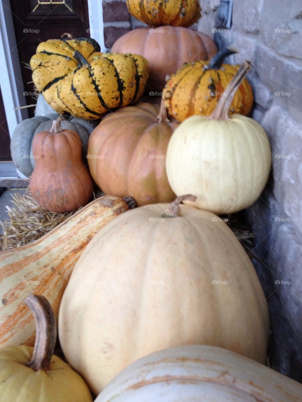 White Pumpkins from the Farmhouse