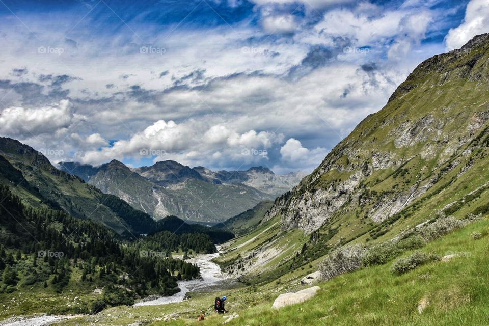 mountain landscape with hiker and dog in front.