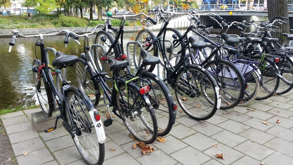 a typical view in Amsterdam