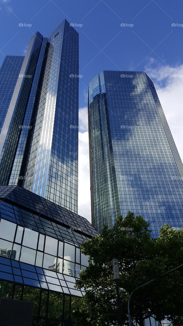 skyscrapers in the city of Frankfurt am Main