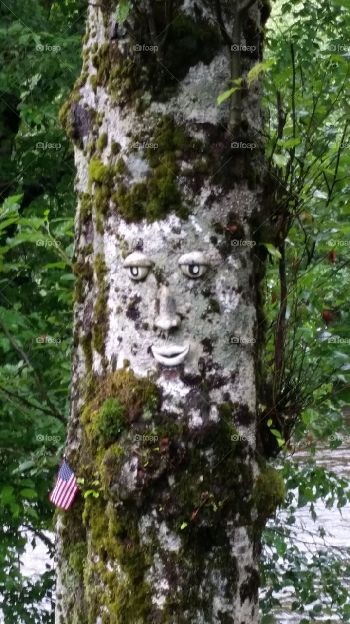 Nature Face. I took this one also in Ketchikan, Alaska.