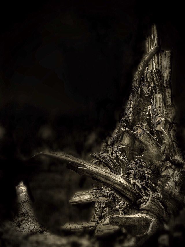 Woodage