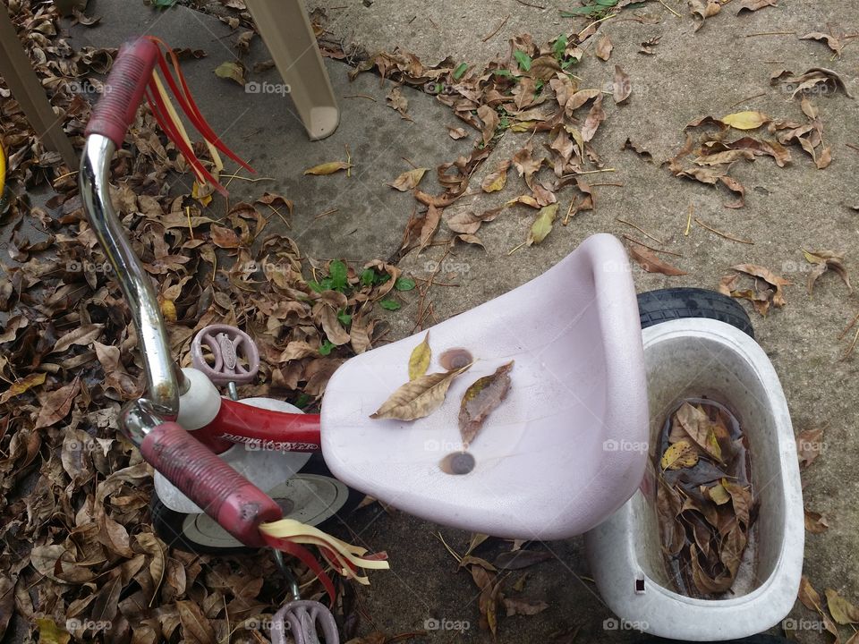 Abandoned Tricycle Child's Toy