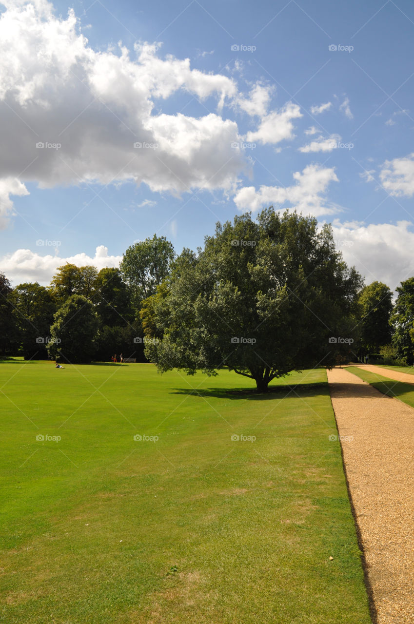 Garden in Cambridge