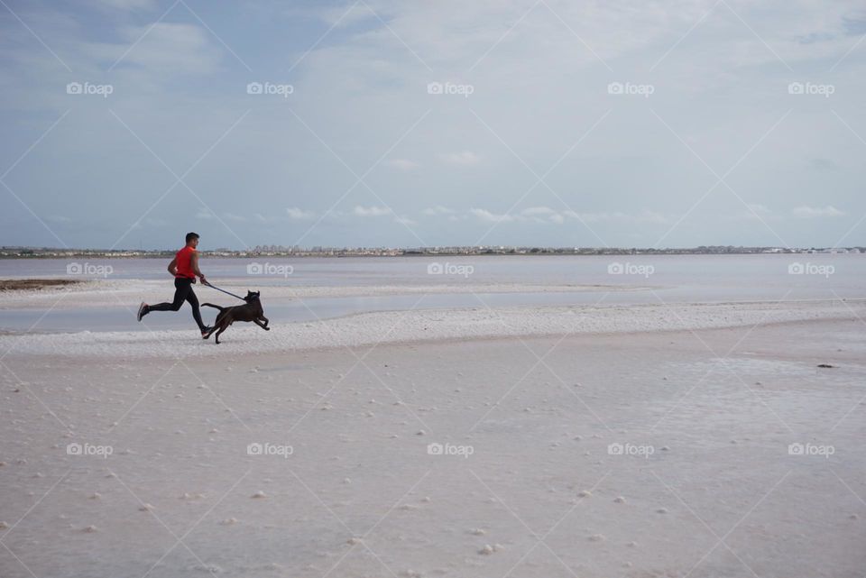 Sunrise#beach#lake#human#dog