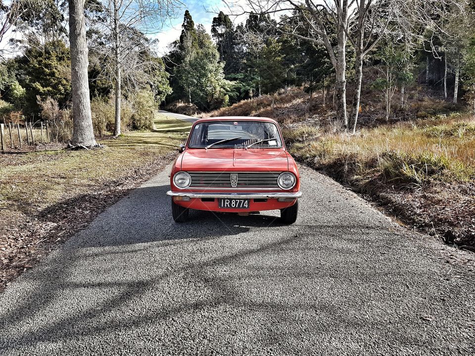 Austin Maxi in the park