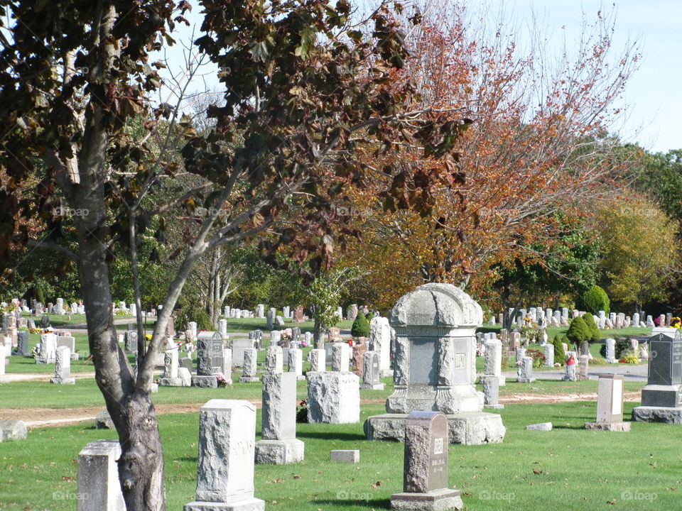 Cemetery, Grave, Tombstone, Tree, Park