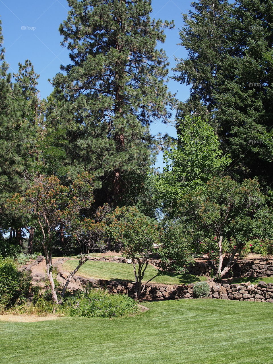 A dirt path leads up a hill with different levels cut out and landscaped with deciduous trees, ponderosa pine trees, grass, plants, flowers, and rock walls. 