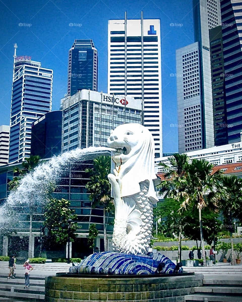 Never announce your moves before you take them 