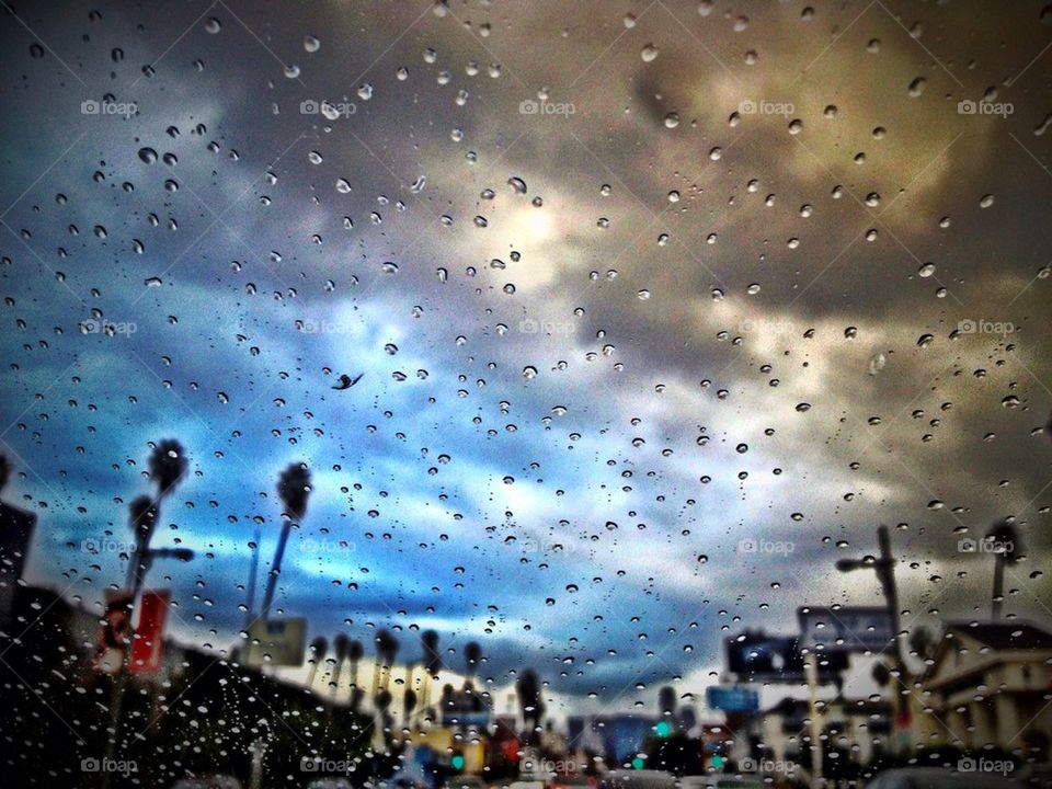 Rainy LA days on Fairfax™