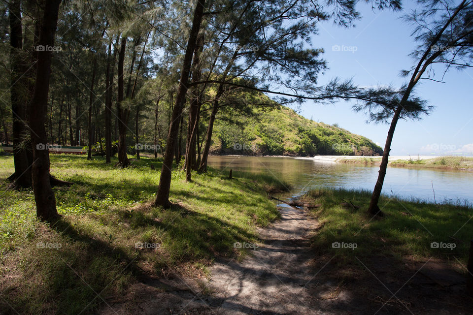 by the lake