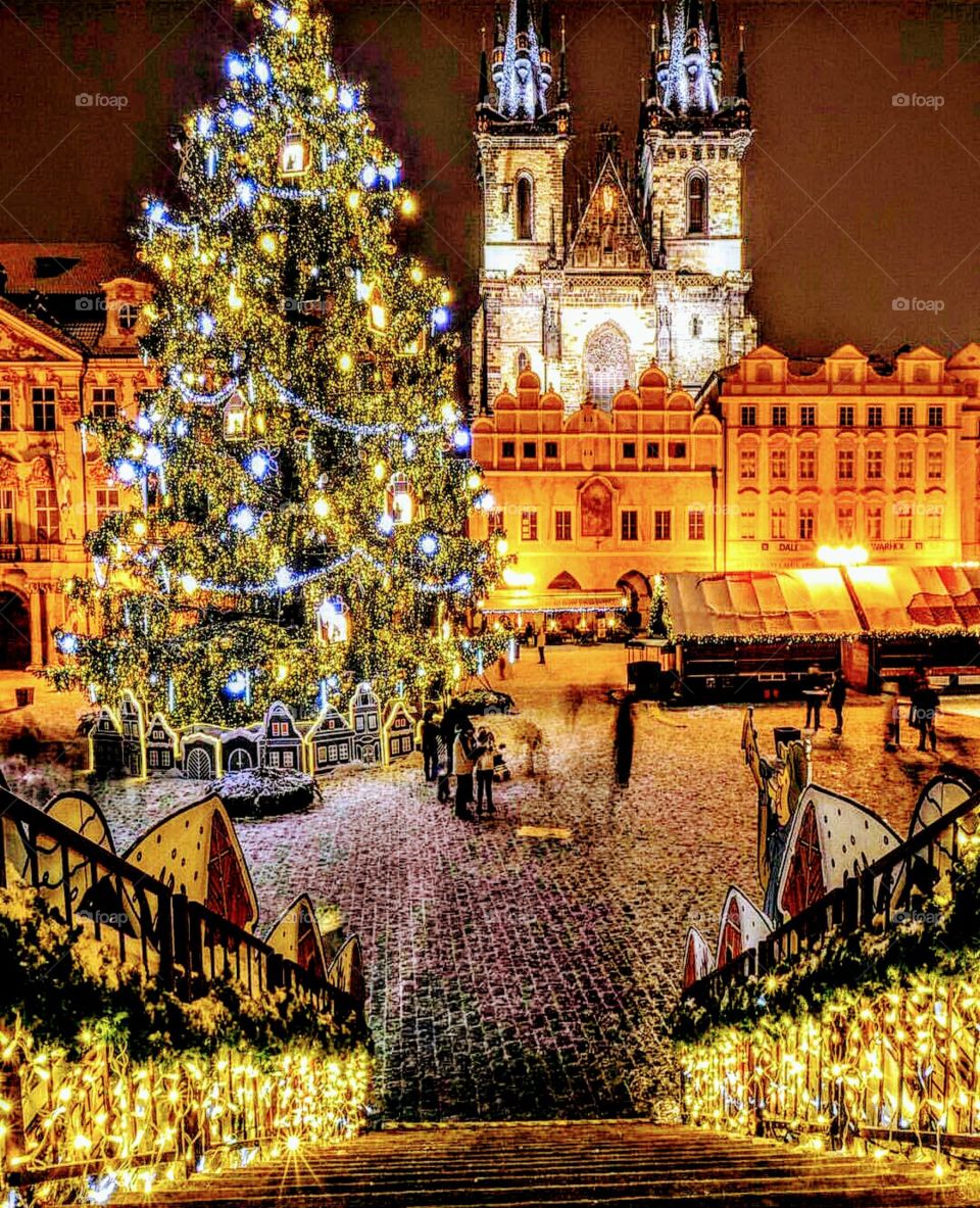 Christmas Tree Night