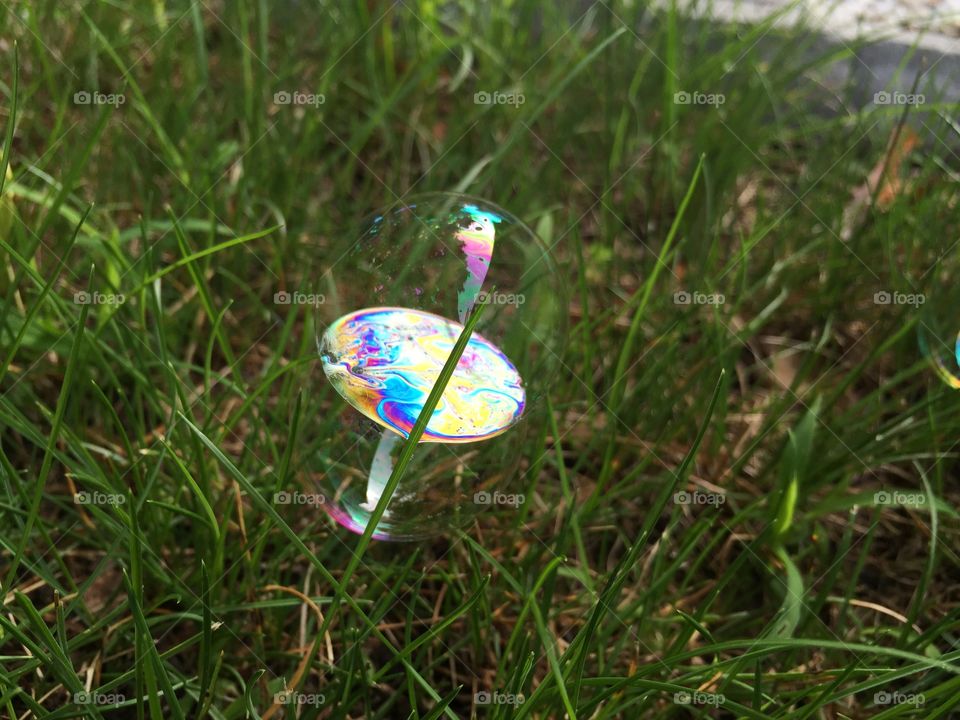 Delicate landing. Great little shot of bubbles gently laying on blades of grass