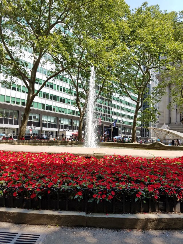 City, Garden, Park, No Person, Building