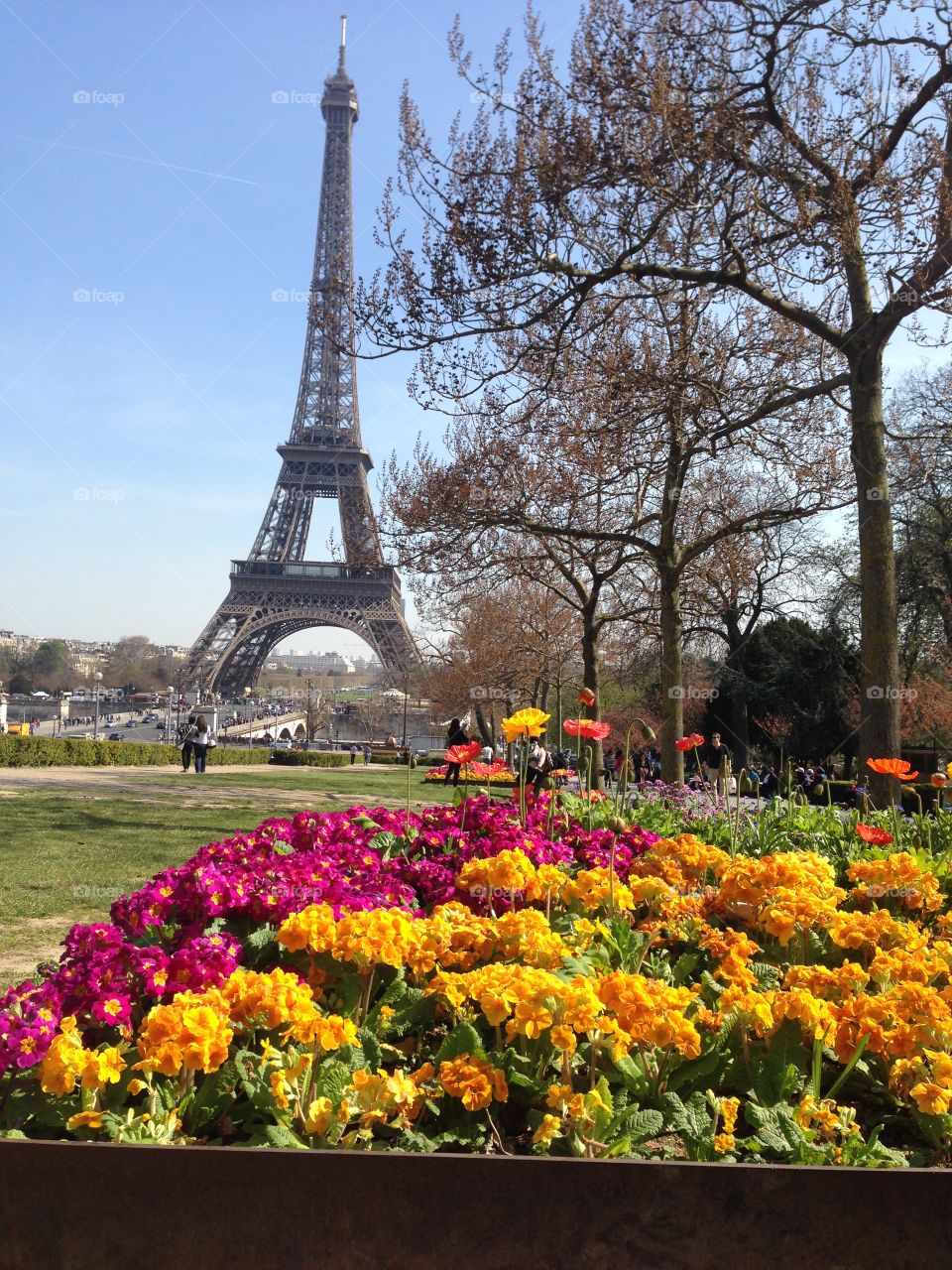 Paris in spring time