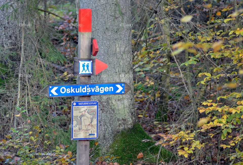 Virgin path, oskuldsvägen