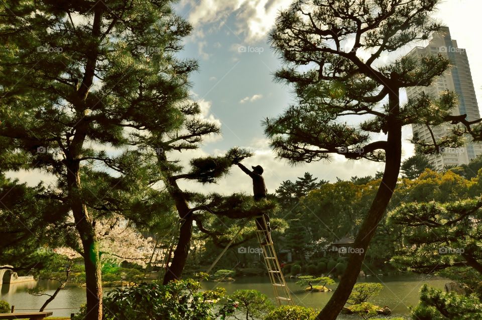 Silhouette of Japanese Gardener in Hiroshima 