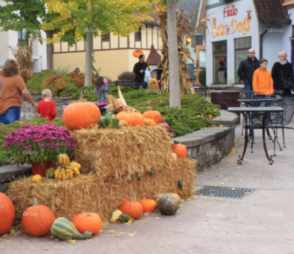 October pumpkin fest