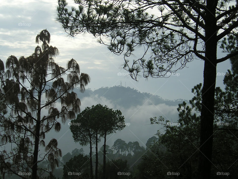 Mists, mountains, pine trees, fresh air - the charm of the hill areas.