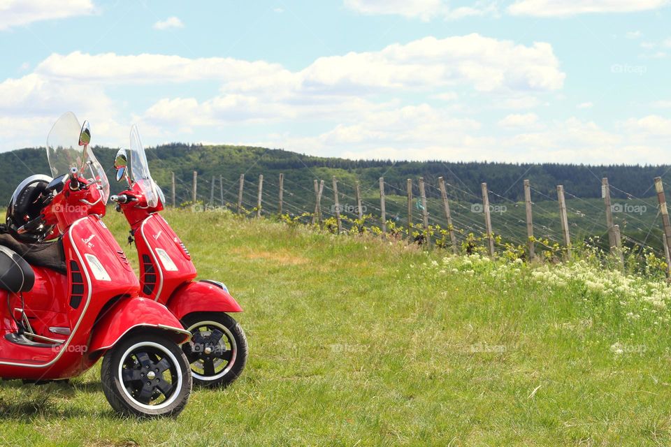 Two red scooters stand on a meadow in the vineyards