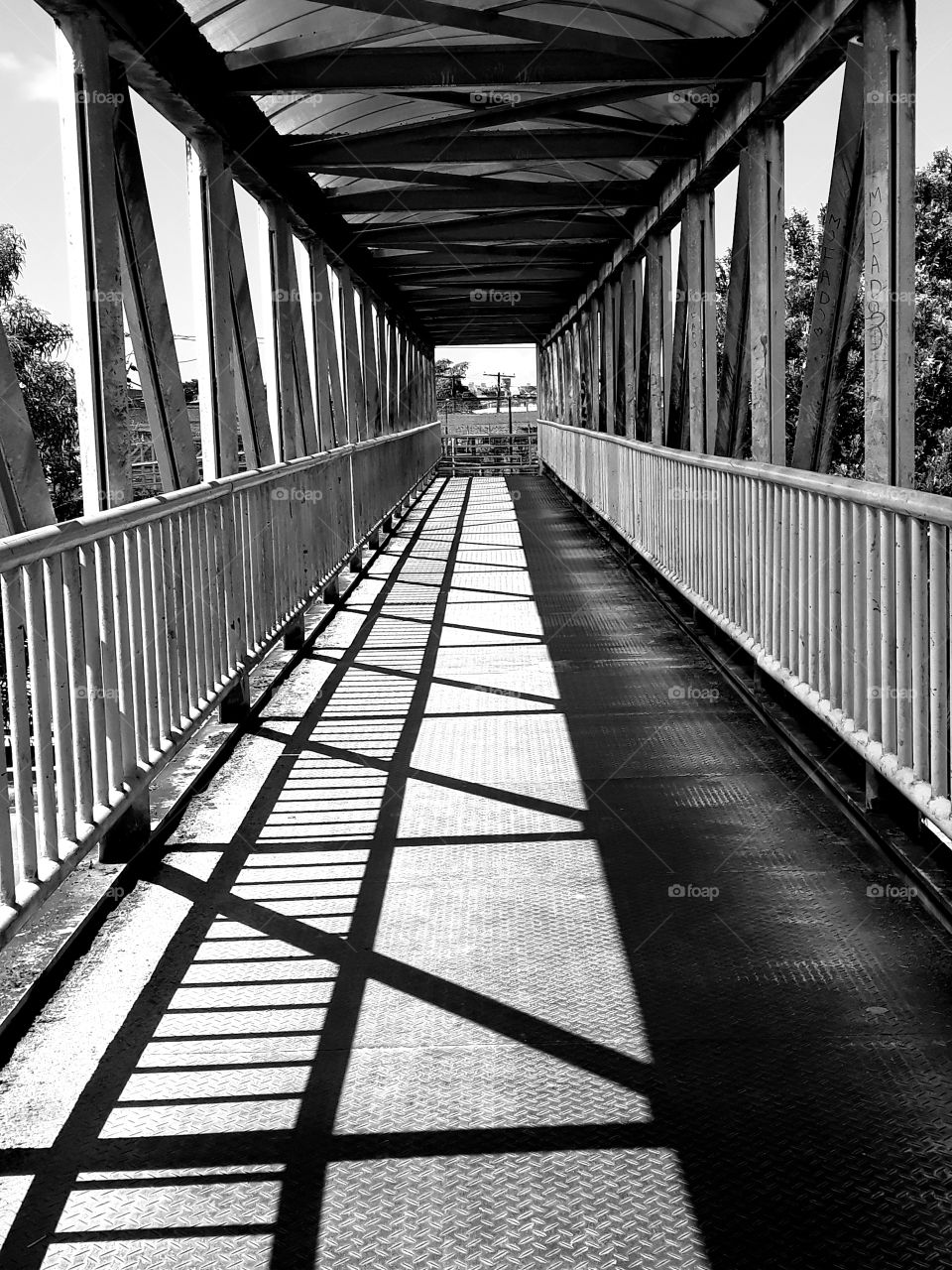 bridge mono