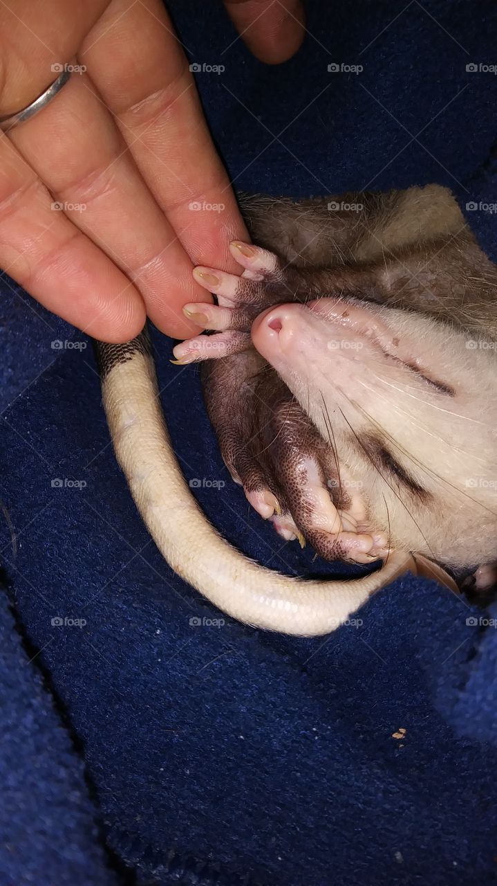 the little man napping