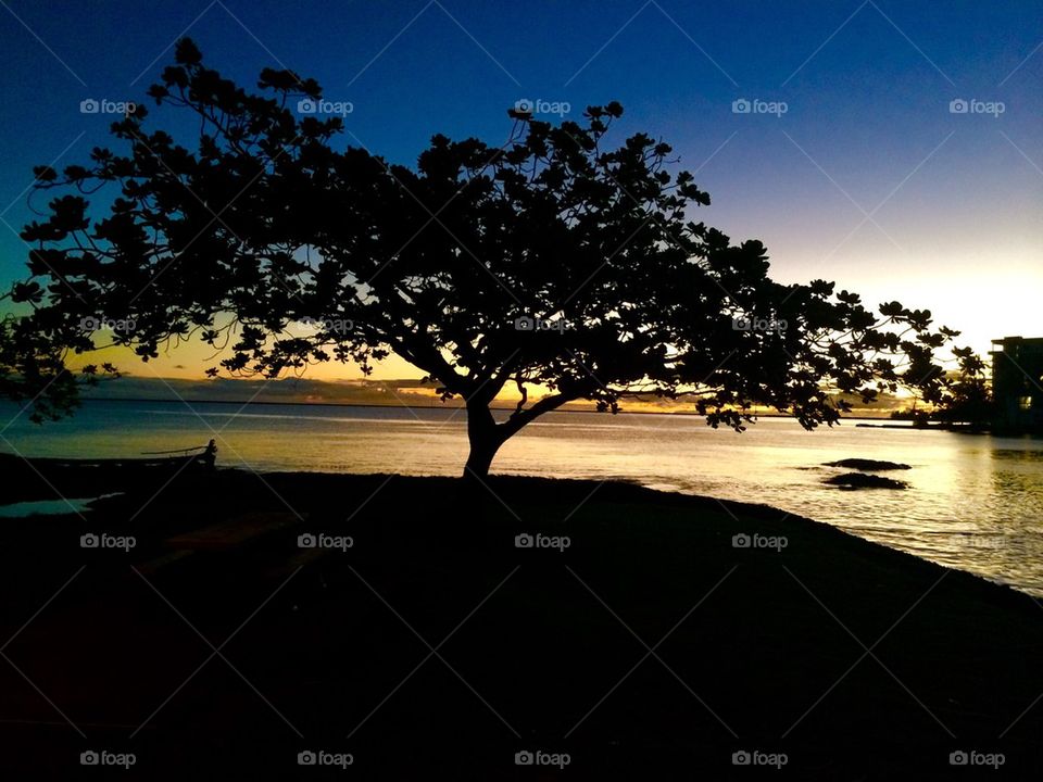 Coconut Island Sunrise