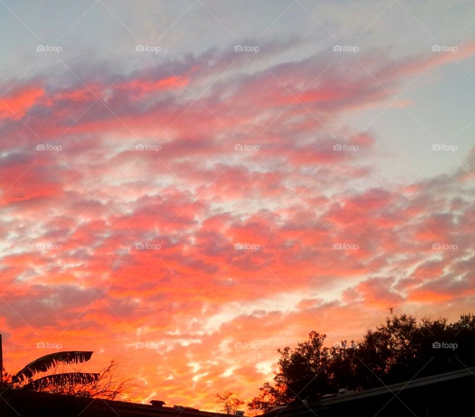 Sunset Orange Sky