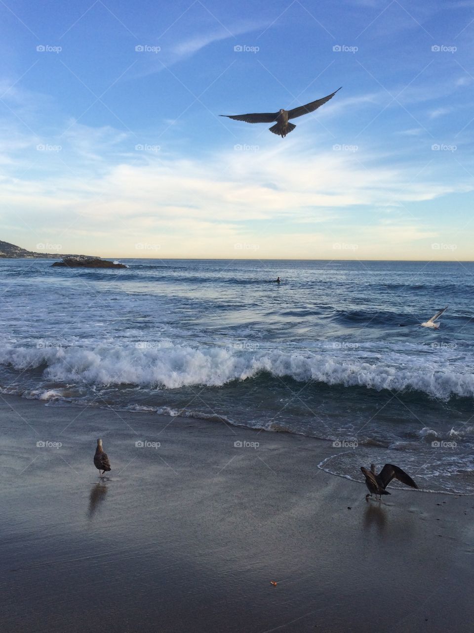 Sunsetting. Winter Sunsetting