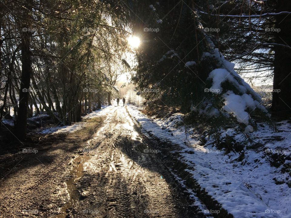 Sunshine on a Winters Day 🥶 🌞