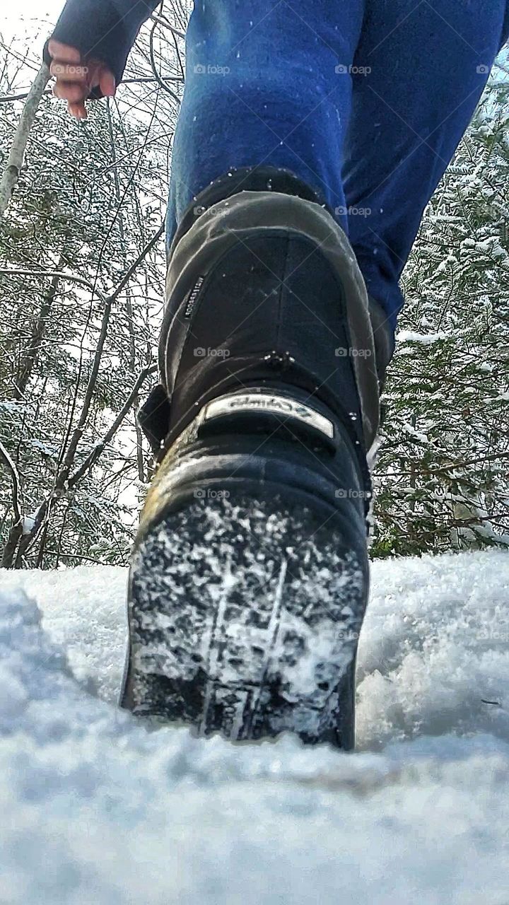 A snowy morning walk through the forest.